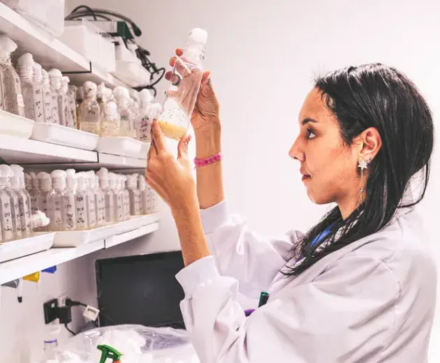 Instalação de pesquisa na Oceania