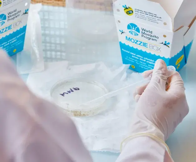 Laboratório