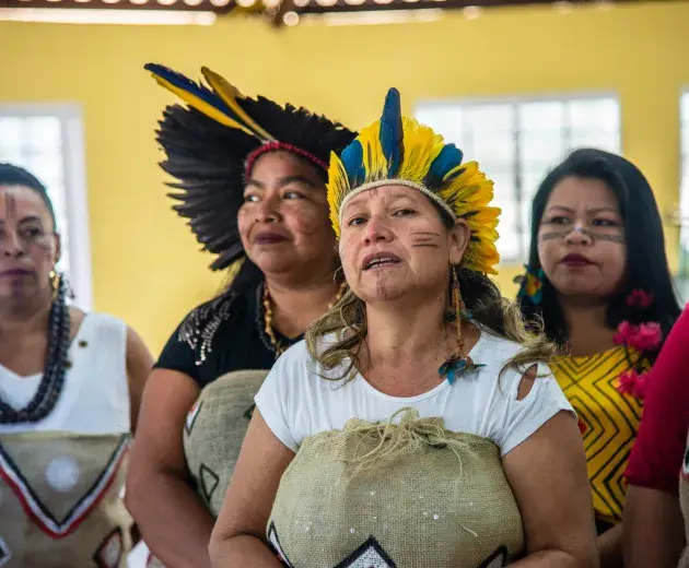 Comunidade indígena _ Brasil