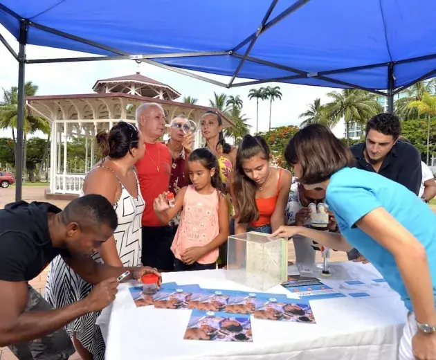 A nova equipe do Cal_WMP mostra aos moradores locais os mosquitos aedes aegypti e suas larvas 