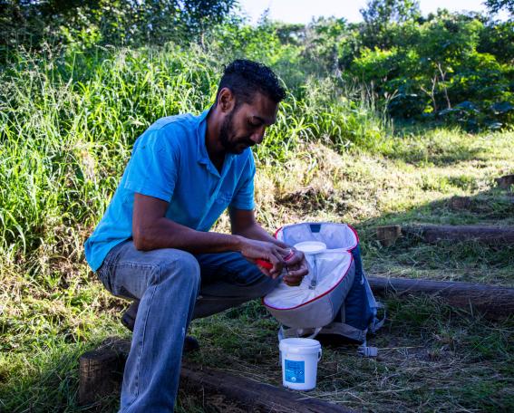 WMP Site_de_trabalho_de_campo