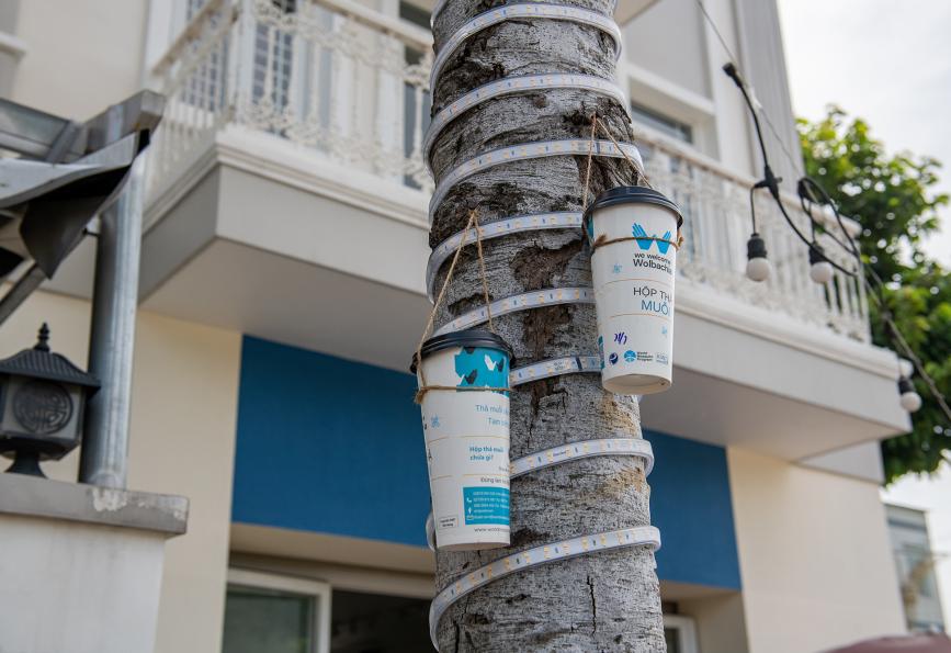 Recipientes de liberação de mosquitos em Thu Dau Mot, Vietnã