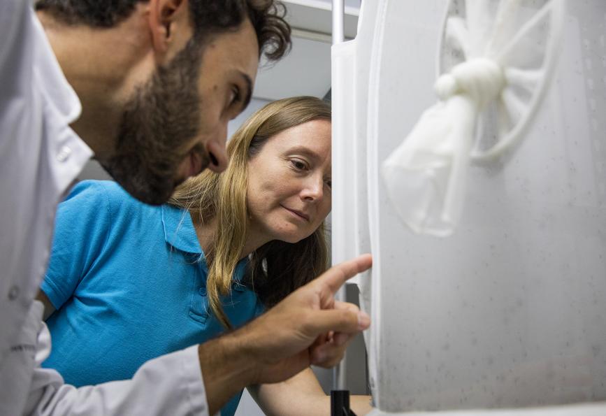 Hugo Bernard, do Institut Pasteur, e Nadege Rossi, do WMP