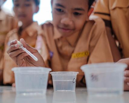 WMP envolvimento da comunidade em Bali