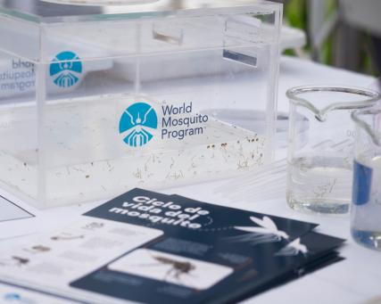 WMP lançamento de evento em El Salvador
